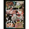 Lámina de cromos troquelados ingleses MLP 1539 · Gatitos ·