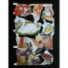 Lámina de cromos troquelados ingleses MLP 1562 · Animales de Granja y Bosque 1 ·