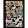 Lámina de cromos troquelados ingleses MLP 1572 · Animales Salvajes 2 ·