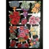 Lámina de cromos troquelados ingleses MLP 1580 · Flores ·