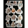 Lámina de cromos troquelados ingleses MLP 1763 · Ratita Vera 1 ·