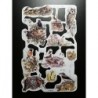 Lámina de cromos troquelados ingleses MLP 1775 · Animales del Bosque 2 ·
