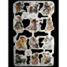 Lámina de cromos troquelados ingleses MLP 1777 · Ratita Vera 2 ·