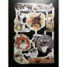 Lámina de cromos troquelados ingleses MLP 1816 · Gatitos ·
