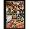 Lámina de cromos troquelados ingleses MLP 1854 · Animales de Granja ·