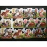 Lámina de cromos troquelados ingleses MLP 2012 · Gatitos Jugando 2 ·