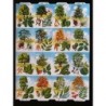 Lámina GIGANTE de cromos troquelados ingleses MLP 1261 · Árboles y Frutos ·