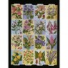 Lámina GIGANTE de cromos troquelados ingleses MLP 1429 · Flores y Plantas ·