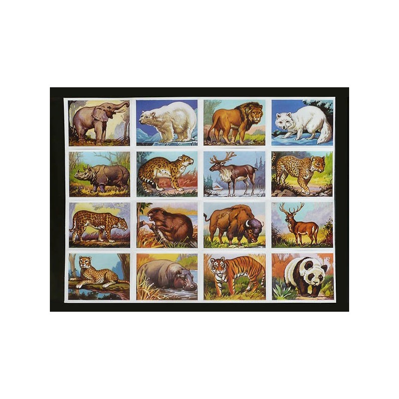 Lámina GIGANTE de cromos troquelados ingleses MLP 1446 · Animales Salvajes ·