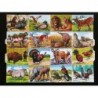 Lámina GIGANTE de cromos troquelados ingleses MLP 1621 · Animales Salvajes ·