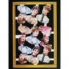 Lámina de cromos troquelados ingleses MLP A 14 · Damas ·