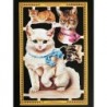 Lámina de cromos troquelados ingleses MLP A 120 · Gatos ·