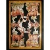 Lámina de cromos troquelados ingleses MLP A 131 · Ciervos ·