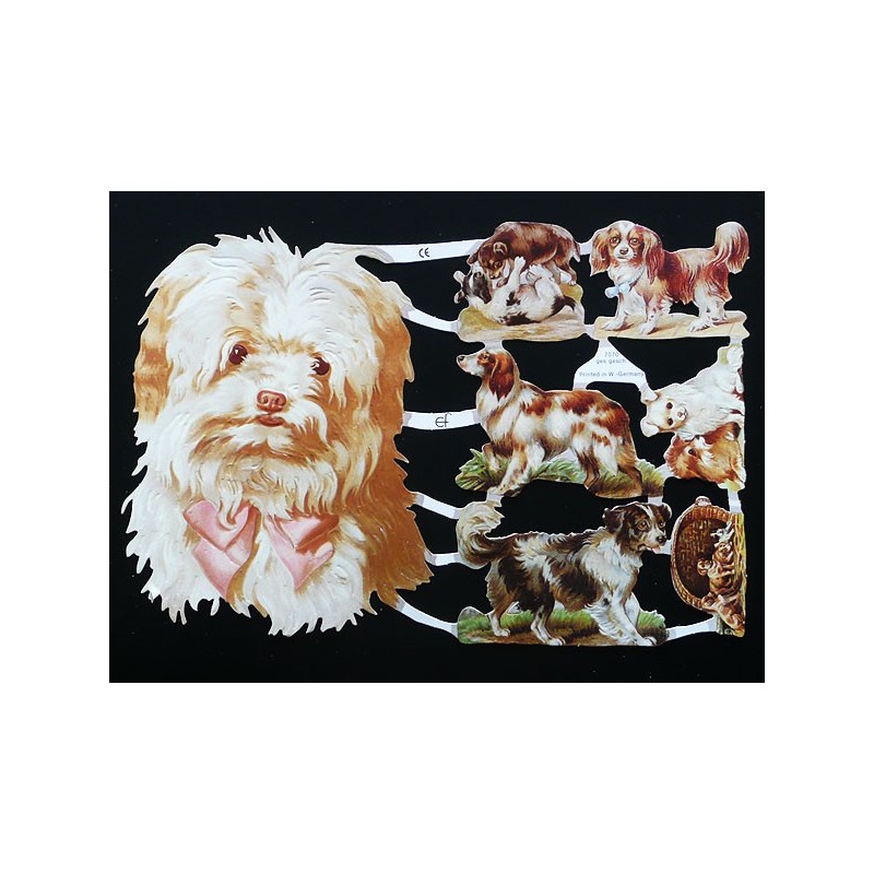Lámina de cromos troquelados alemanes EF 7070 · Preciosos Perros ·