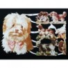 Lámina de cromos troquelados alemanes EF 7070 · Preciosos Perros ·