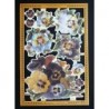 Lámina de cromos troquelados ingleses MLP A 173 · Flores de Pensamientos ·