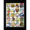 Lámina de cromos SIN TROQUELAR españoles · EVA nº 112 ·