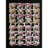 Lámina de cromos troquelados alemanes EF 7133 · Rosas ·
