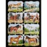 Lámina de cromos troquelados alemanes EF 7149 · Caballos ·