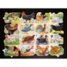 Lámina de cromos troquelados españoles - FHER * FB * n. 26 - Aves -
