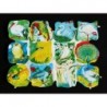 Lámina de cromos troquelados españoles - FHER * FB * n. 45 - Aves -