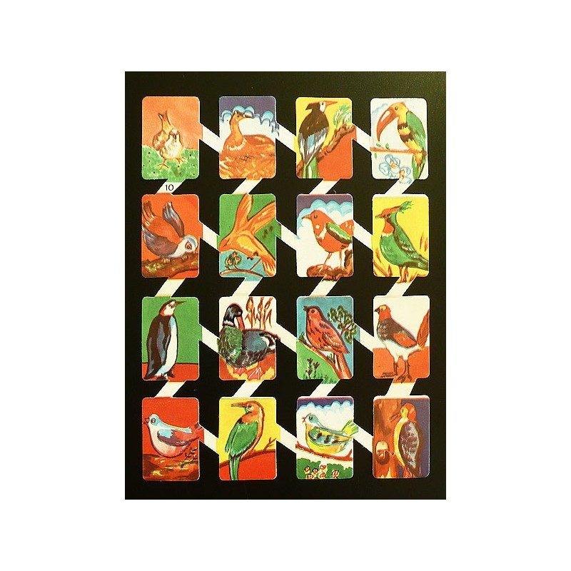 Lámina de cromos troquelados españoles - ZULIA n.10 - Aves -