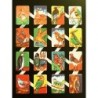 Lámina de cromos troquelados españoles - ZULIA n.10 - Aves -