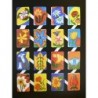Lámina de cromos troquelados españoles - ZULIA n.13 - Flores -
