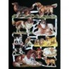 Lámina de cromos troquelados alemanes EF 7163 · Preciosos perros ·