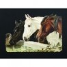 Cromo troquelado gigante y gran grosor alemán de 16 cm. EF BK 5012 · Caballos ·