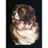 Cromo troquelado gigante y gran grosor alemán de 16 cm. EF BK 5032 · Precioso Perro ·