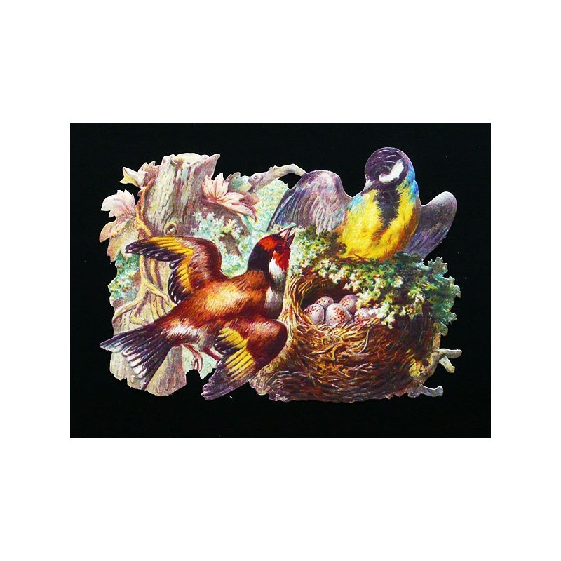 Cromo troquelado gigante y gran grosor alemán de 16 cm. EF BK 5044 · Aves con Nido ·