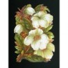 Cromo troquelado gigante y gran grosor alemán de 16 cm. EF BK 5059 · Flores ·