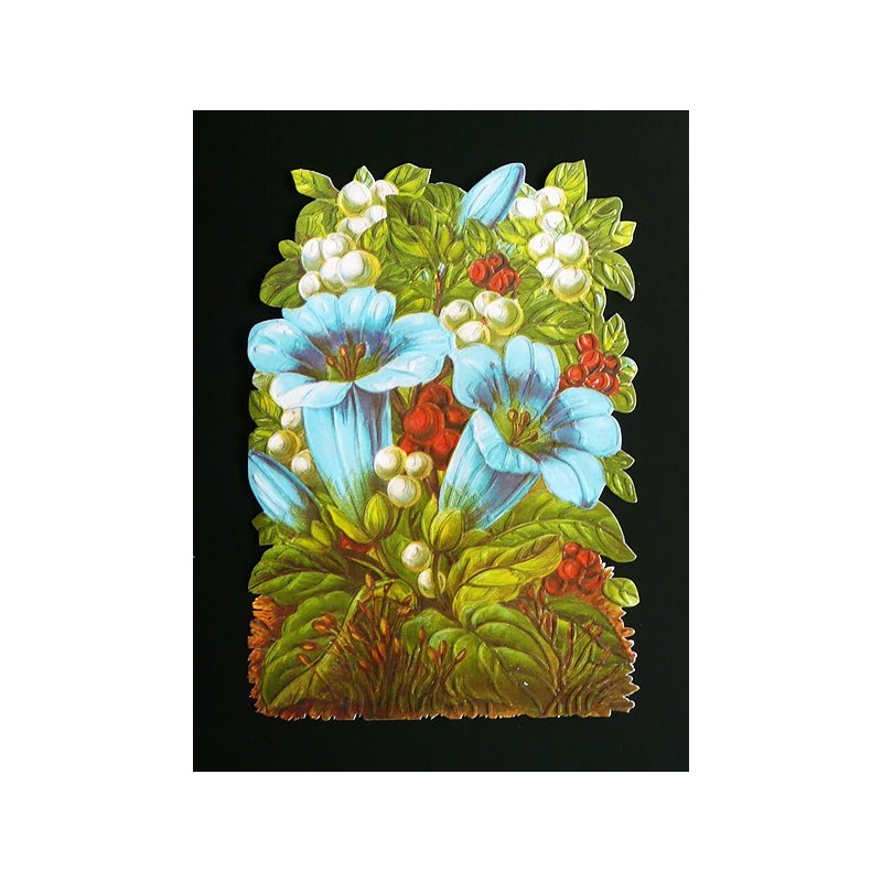 Cromo troquelado gigante y gran grosor alemán de 16 cm. EF BK 5060 · Flores ·