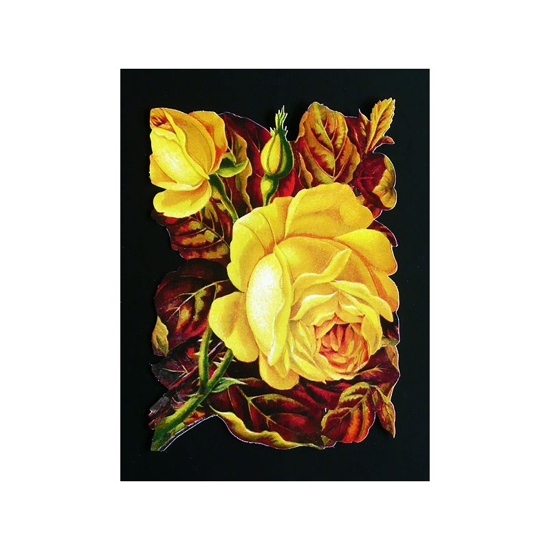 Cromo troquelado gigante y gran grosor alemán de 16 cm. EF BK 5072 · Rosas Amarillas ·