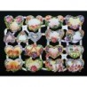 Lámina de cromos troquelados alemanes EF 7173 · Corazones y Flores ·
