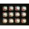 Cromos troquelados sueltos en papel grueso. EF TD ST 7119 · Notas y Flores ·