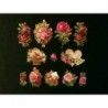 Cromos troquelados sueltos en papel grueso. EF TD ST 7232 · Rosas