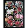 Lámina de cromos troquelados alemanes EF 7182 · Rosas ·