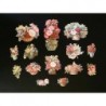 Cromos troquelados sueltos en papel grueso. EF TD ST 7264 · Flores ·