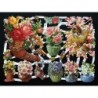 Lámina de cromos troquelados alemanes EF 7186 · Flores ·