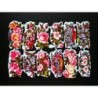 Antigua lámina de cromos troquelados con brillo y relieve Kruger n. 98-21  · FLORES ·