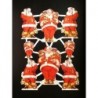 Lámina de cromos troquelados holandeses con brillo y relieve TBZ n. 1 - Papá Noel -