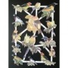 Lámina de cromos troquelados holandeses con brillo y relieve TBZ n. 11 - Aves -