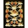 Lámina de cromos troquelados holandeses con brillo y relieve TBZ n. 14 - Angeles -