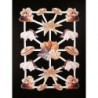 Lámina de cromos troquelados holandeses con brillo y relieve TBZ n. 24 - Fauna Marina -