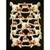 Lámina de cromos troquelados holandeses con brillo y relieve TBZ n. 39 - Preciosos Perros -