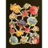 Lámina de cromos troquelados holandeses con brillo n. 5  · FLORES Y SETAS ·