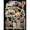 Lámina de cromos troquelados alemanes EF 7199 · Caballos ·