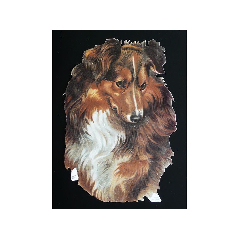 Lámina de cromos troquelados alemanes EF 7207 · Precioso Perro ·